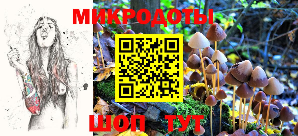 Галлюциногенные грибы прущие грибы Кыштым