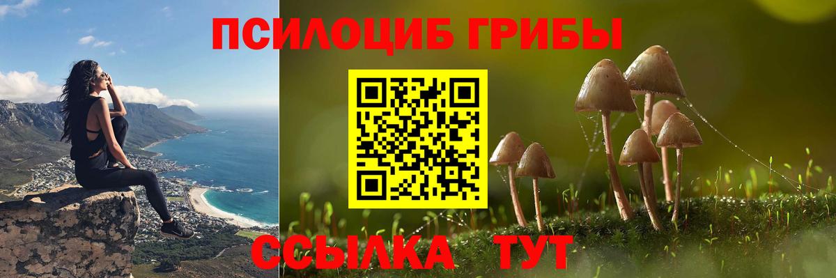 Кыштым  купить   Вход с VPN  Галлюциногенные грибы мухоморы 